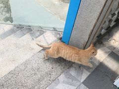 -北港方记海鲜楼·海景餐厅