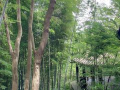 -桃花岛风景旅游区