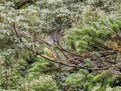 -瓦屋山景区