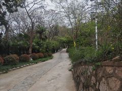 -九华山公园