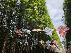 -日照海滨国家森林公园