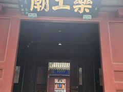 -药王庙(安国市)