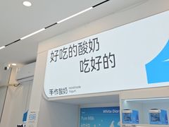 -白色日记·手作酸奶(麦凯乐店)