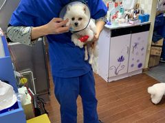 -宠物星动物医院·眼科·异宠·猫科(江南大道总院)