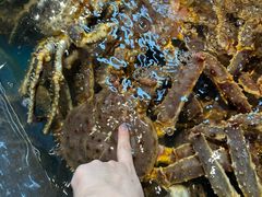 -黑木原精致料理·铁板烧