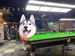 -云顶乔氏台球俱乐部(登宝大厦店)