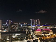 -新加坡瑞士史丹福酒店