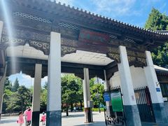 -团结湖公园