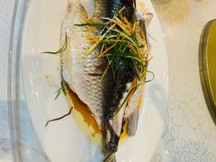 -松涛居·三墩烧鹅石岐乳鸽(西区店)