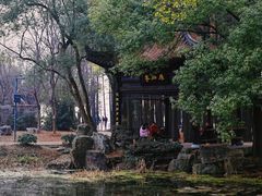 -东湖落雁景区