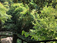 -浙北大峡谷