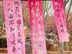 -静之湖度假区