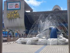-合肥海洋世界