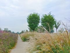 -汉长安城未央宫国家考古遗址公园