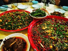 -东吴霸王兔(松青路店)