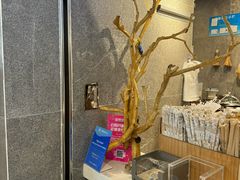 -雾鲜(KKMALL店)
