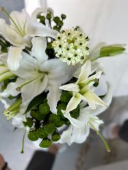 -HEYAN长风荷妍专业脱毛美肤
