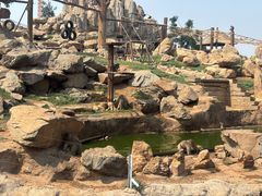 -石家庄市动物园