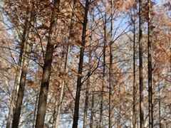 -河南省黄河迎宾馆