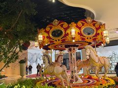 -拉斯维加斯永利酒店