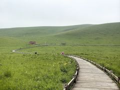 -乌拉盖芍药谷景区