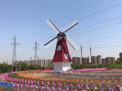 -菊园百果园