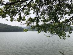 -南京市无想山景区