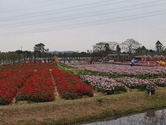 -盈香心动乐园