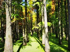 -青山湖景区