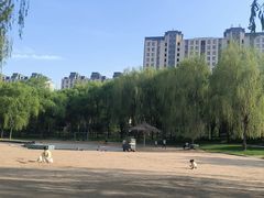 -固安志愿公园