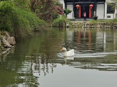-张公山寨景区
