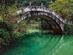 -靖西鹅泉风景区