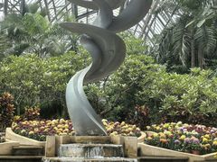 -南山植物园