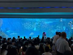 -海合安成都极地海洋公园