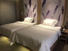 -麗枫酒店(重庆解放碑中心店)