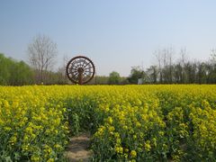 -溱湖国家湿地公园