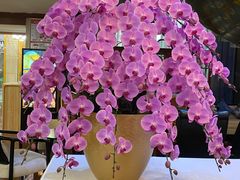 -广州中医药大学第一附属医院(总院)