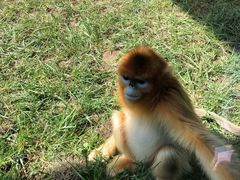 -西安秦岭野生动物园