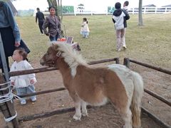 -天目湖涵田度假村