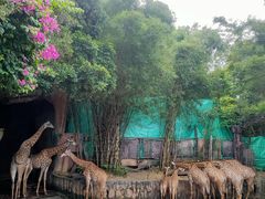 -长鹿旅游休博园