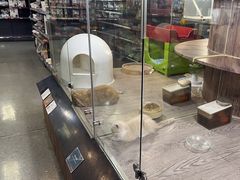 -宠物世家(仲盛世界商城店)