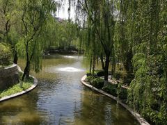 -西安市长乐公园