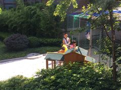 -成都安仁福朋喜来登酒店