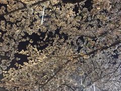 -艾蜜西餐厅(梅园店)