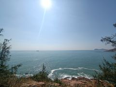 -广东惠东海龟国家级自然保护区