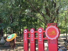 -长白岛森林公园