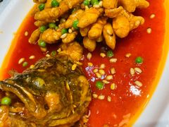 松鼠桂鱼-峨嵋酒家(德内店)