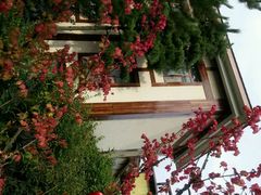 android_upload_pic-金石唐风国际温泉会馆