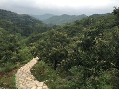 -蟠龙山长城景区