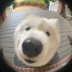 -SKINLALA美肤疗愈SPA